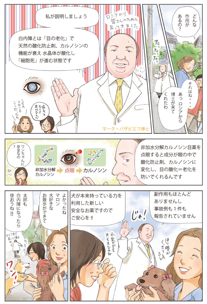 「白内障はカルノシンの機能低下による水晶体の酸化が原因。非加水分解カルノシンで目の酸化=老化を防ぐ。副作用・事故例なし。」