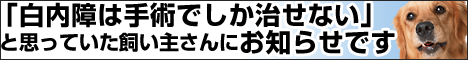 �h�b�O�N�����X�e�B��